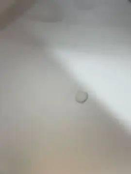CharlotteAngelss_