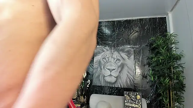 Erik_castle