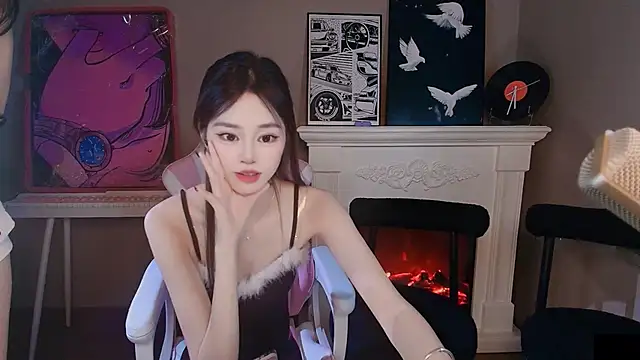 Baoer-001 webcam