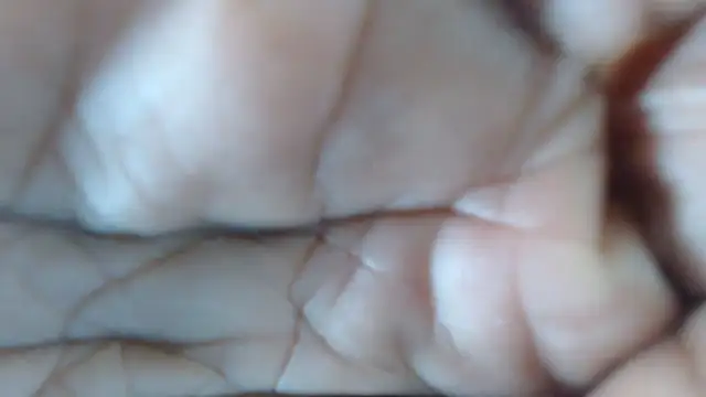 Lu_Nardoni live cam on StripChat