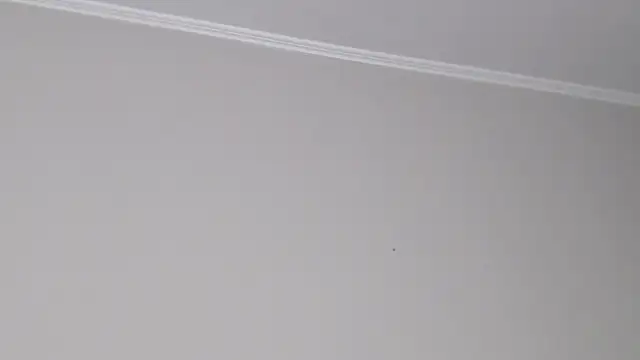 IzabelllNoir