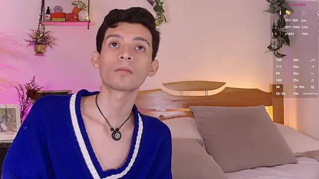 VicenteFerrer webcam