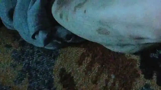 cumloverboyxx69