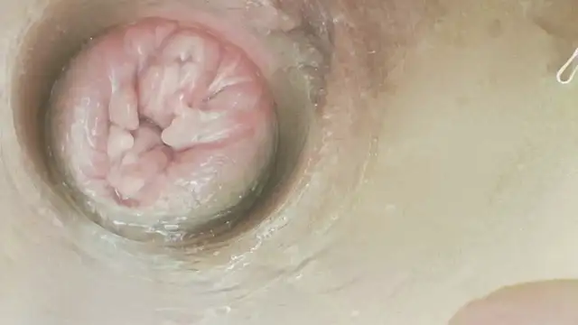 karol_stom