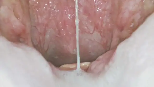 karol_stom