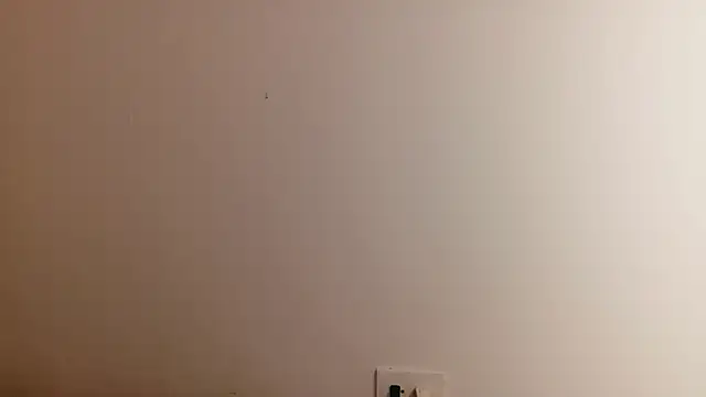 Dani_Belle