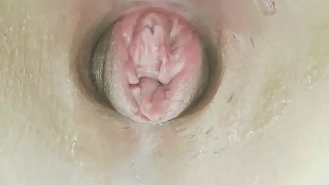 karol_stom