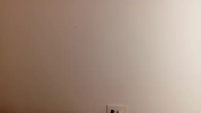 Dani_Belle