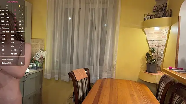 ElidedPremise