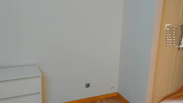 MinervaRallis webcam