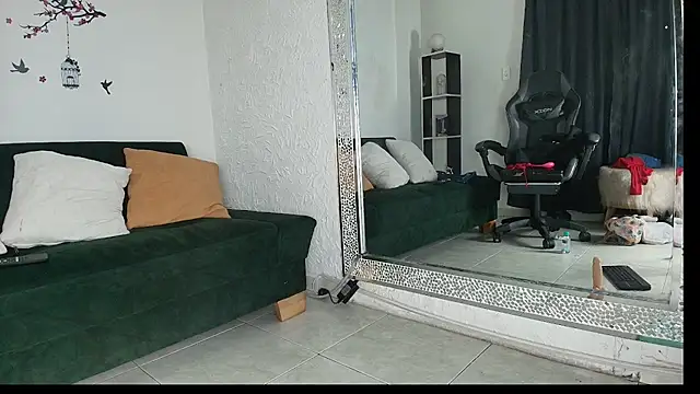_Ana_Car webcam