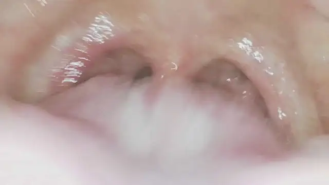 karol_stom