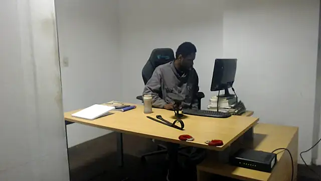 Mastertopdome webcam