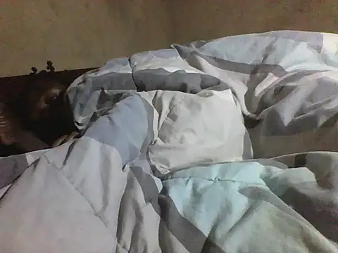 Queen_3333