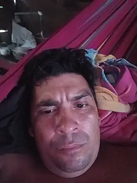 denisteto