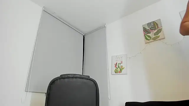 Modèle: barbie_ds