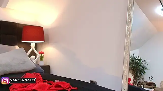 VanesaValet