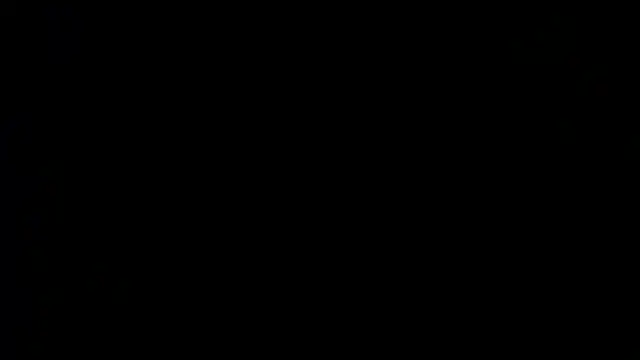 Damian64420