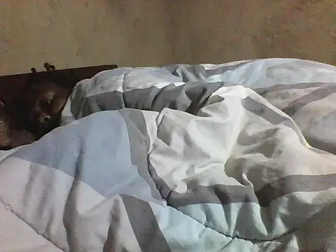 Queen_3333
