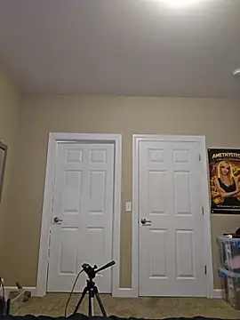AmethystFoxx