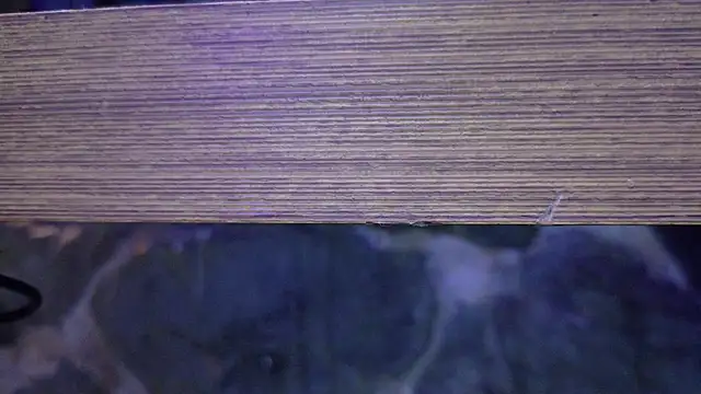 VegaSara