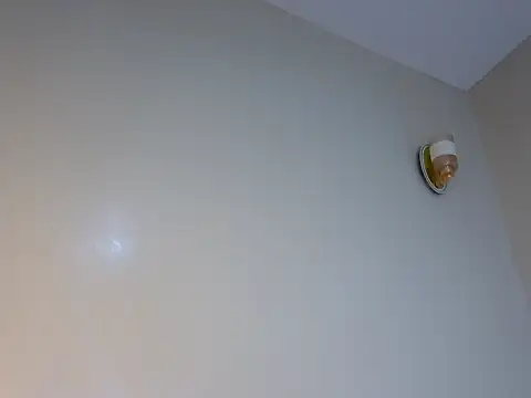 Sexybrii_ live cam preview