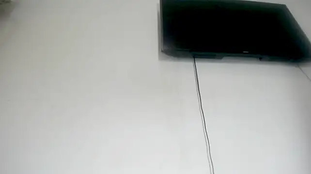 Fox_Loves