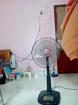 JerryJen11 live cam on StripChat