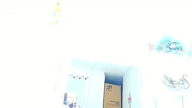 Graceledomas_1