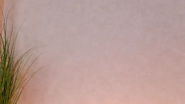 SoraThornn