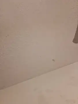 247Srokin live cam preview