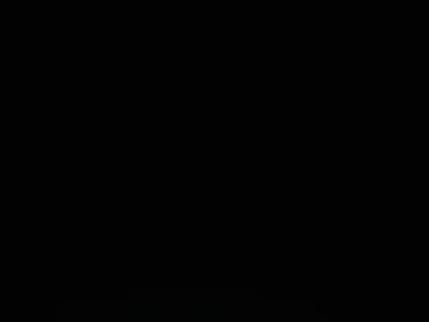 natti_fox