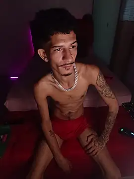 OCamBoy