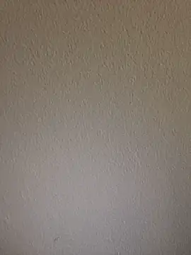 Lara_petit