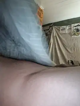 Toycockhot