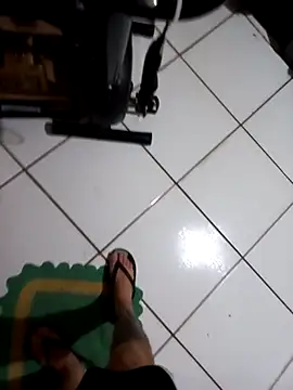 userbrasil12345