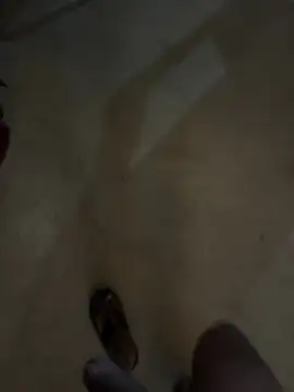 sonusexy128