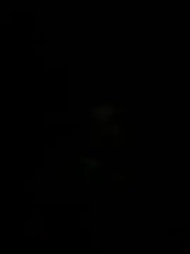 pablo_grey59 live cam preview