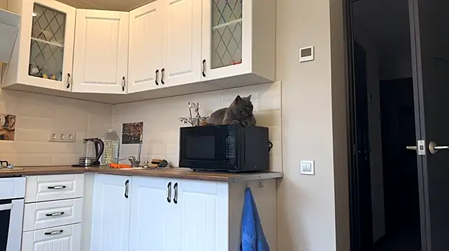 ShirleenDeming