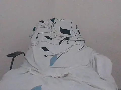 SRwee webcam