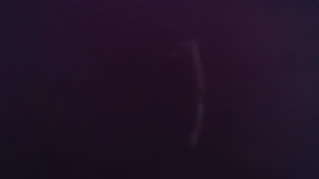 Tha1BBC live cam on StripChat