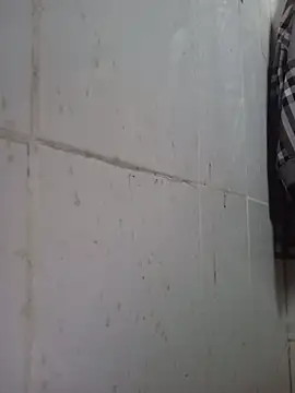 cumgirl1