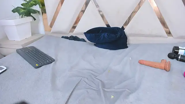 mitch_asm