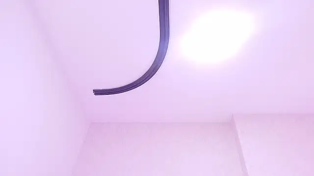 _carolina_fox