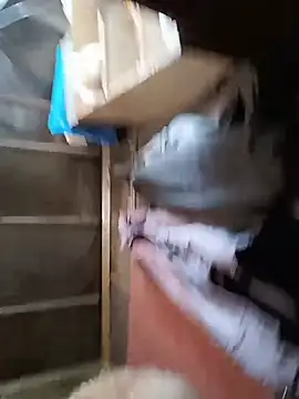 Tina_Mirabella