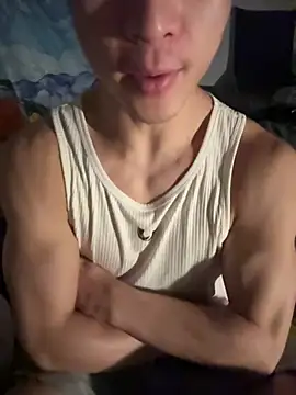 Sexydogetop