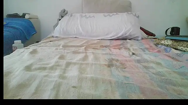 canarito18