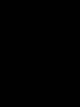 CANNABIC26 live cam preview