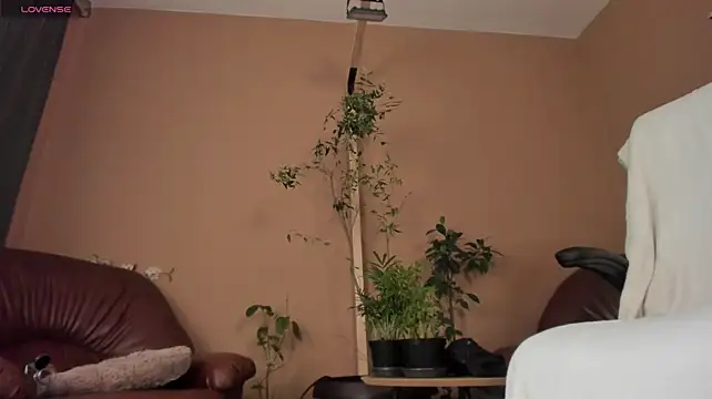 KaylaLaine live sex cam