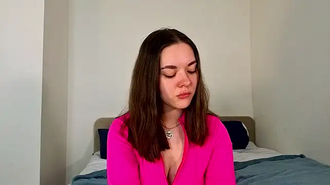 SangLesage webcam